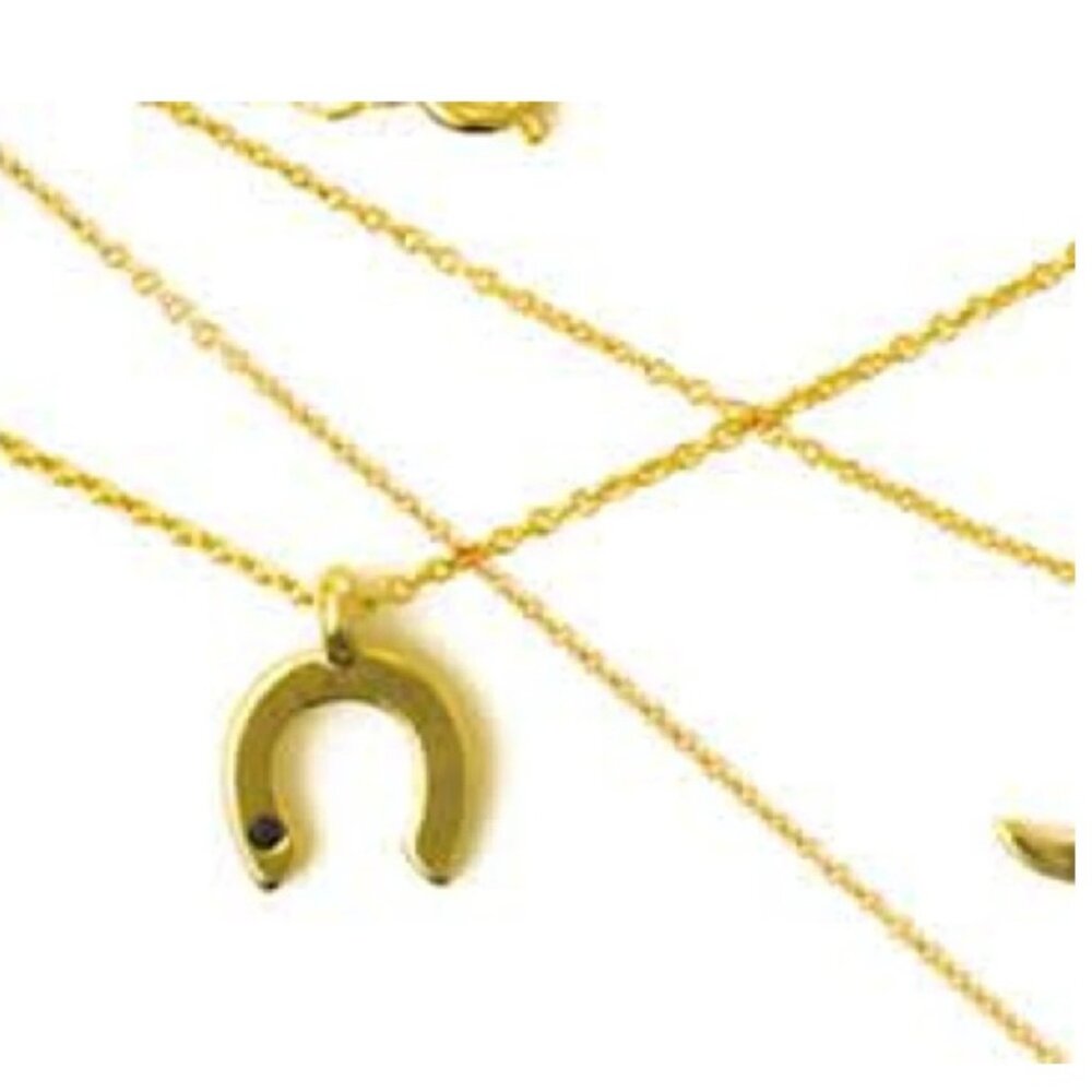 Wren Horseshoe Necklace 14k Gold with Black Sapphire - New in Pouch